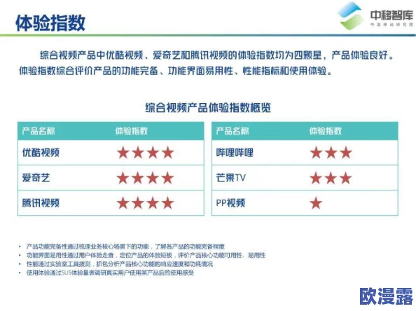 XXXXXL19D19用户评价：使用体验与性能分析，消费者反馈汇总及改进建议分享