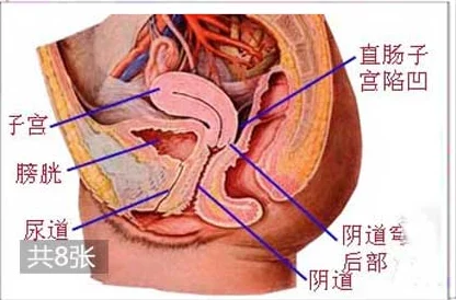 老太婆丰滿的大陰唇:對老年女性生理特徵的深入研究與社會文化影響分析 老太婆丰滿的大陰唇:對老年女性生理特徵的深入研究與社會文化影響分析
