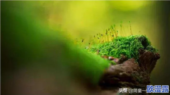 勇士之门奇迹手游：探讨其游戏机制与玩家体验的深度分析与研究
