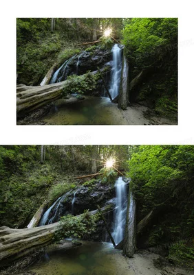 浓密的森林小溪在流淌水，发现水流如何影响生态系统和生物多样性的秘密与美丽自然景观的结合