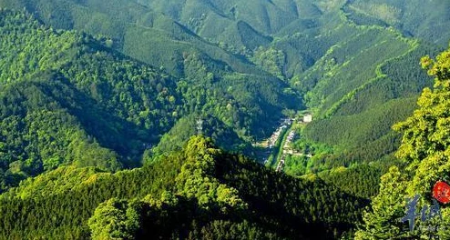 三角洲行动部门：深入解析各项关键任务与职责介绍