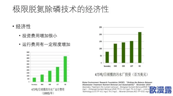 水乳交融和天衣无缝的区别：从文化内涵到实际应用的全面分析与比较研究