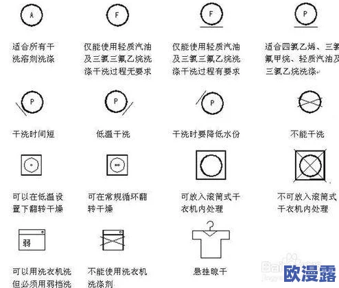 水乳交融和天衣无缝的区别：从文化内涵到实际应用的全面分析与比较研究