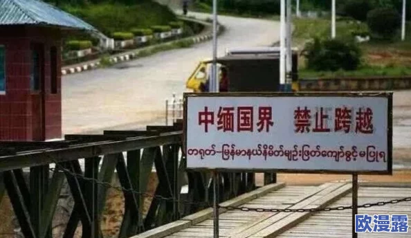 缅北北部血腥2023黑网：分析缅甸北部地区的网络犯罪现象与其对当地安全局势的影响