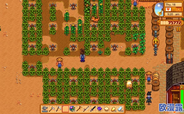 星露谷物语中夏天种植哪些植物能够获得最佳收益推荐