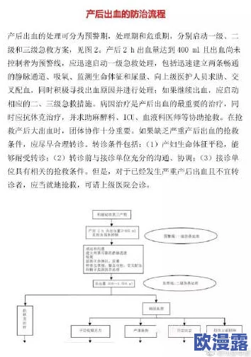破苞XXXX出血HD：探讨产后出血的原因、处理方法及预防措施的综述与研究分析