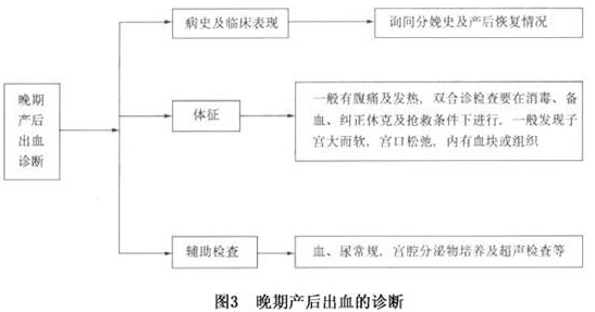 破苞XXXX出血HD：探讨女性在分娩过程中可能出现的破苞现象及其相关出血情况，分析对母婴健康的影响