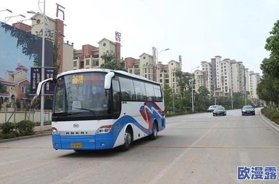 真人强 112分钟国产公交车：探讨中国公共交通发展与城市化进程的关系及其对社会生活的影响