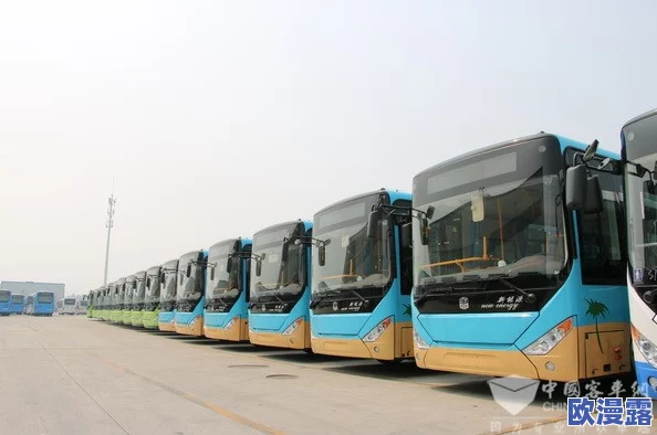 真人强 112分钟国产公交车：探讨中国公共交通发展与城市化进程的关系及其对社会生活的影响