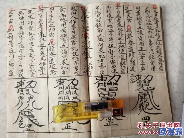 缩地符只能用一次吗？探讨其在不同文化和故事中的使用限制与意义，揭示背后的深层含义