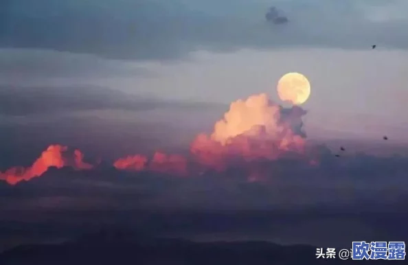 模拟人生4：探索哪个抱负最富乐趣与深度体验推荐
