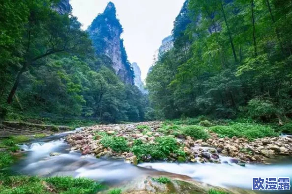 两峰夹小溪地湿又无泥诗小女之心，描绘了自然美景与少女纯真情感的交融，展现出独特的艺术魅力与深刻内涵