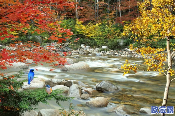 两峰夹小溪地湿又无泥诗小女之心，描绘了自然美景与少女纯真情感的交融，展现出独特的艺术魅力与深刻内涵