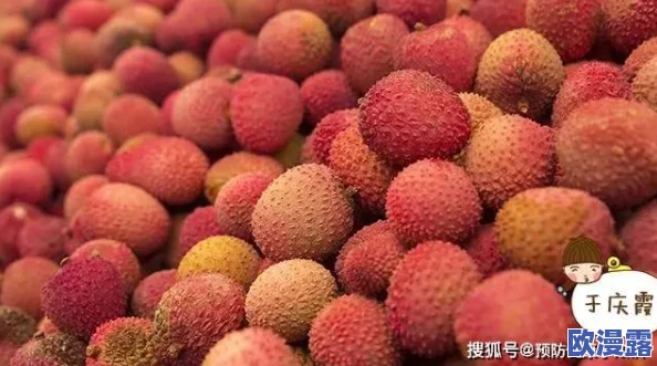 绿巨人樱桃荔枝青青草的功效:增强免疫力、抗氧化特性及促进消化吸收的多重益处分析 绿巨人樱桃荔枝青青草的功效:增强免疫力、抗氧化特性及促进消化吸收的多重益处分析