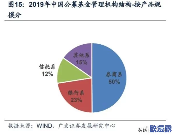 深入剖析如鸢密探:多维度策略选择精髓与实战案例深度解析解读 深入剖析如鸢密探:多维度策略选择精髓与实战案例深度解析解读