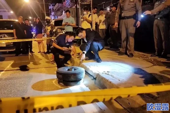 五人轮爆四轮定位缅甸：讲述了在缅甸发生的一起涉及五名乘客的车辆事故，导致四个车轮失去定位，引发安全隐患和交通问题