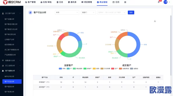 日本网站CRM系统的应用与发展：提升客户关系管理效率的策略与实践分析