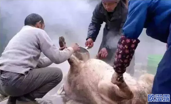 真实破外女摘花流血了：探讨女性在公共空间中遭遇的意外伤害及其社会影响分析