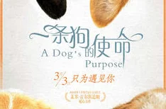 皇上被赐精给狗狗的小说背景：宫廷秘事曝光，竟然隐藏着不为人知的爱情故事与权力斗争！