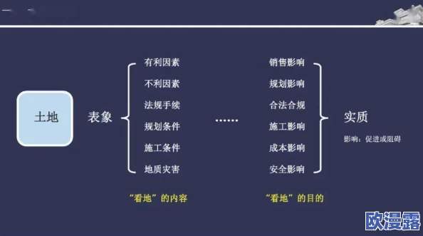 星空传媒春节回家过年7步曲：从准备行程到欢聚团圆的全流程分享与感悟