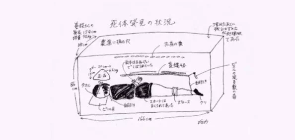 双手双脚反绑到背后胶布封嘴的原因与影响：探讨绑缚行为的心理因素与社会反响