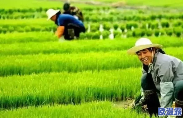 苏软软优质灌溉系统：传闻其背后隐藏着神秘投资者，或将引发农业科技革命！