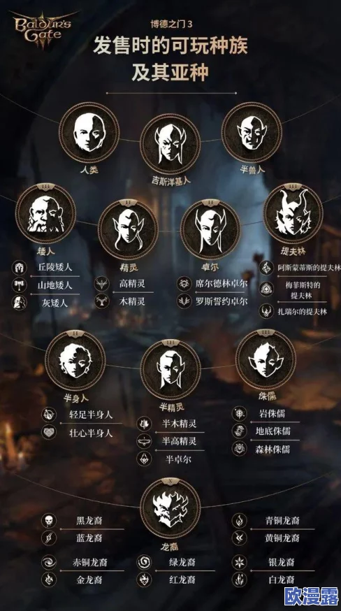 深度解析：博德之门3中散打武僧的高效BD配置与玩法介绍