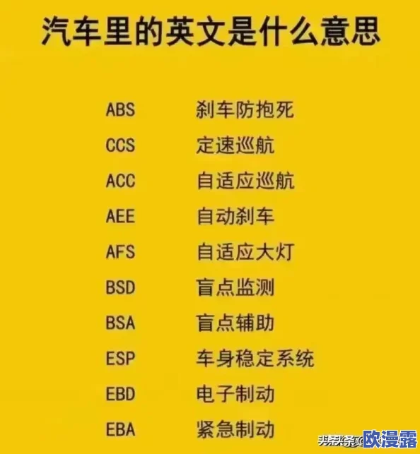 2024年哪些开车游戏最受欢迎?热门好玩的开车游戏大全推荐 2024年哪些开车游戏最受欢迎?热门好玩的开车游戏大全推荐