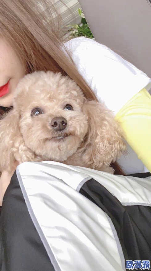 一人一狗卡六个小时游戏图片引发热议,网友纷纷分享宠物陪伴的乐趣与挑战 一人一狗卡六个小时游戏图片引发热议,网友纷纷分享宠物陪伴的乐趣与挑战