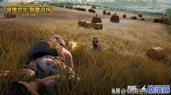 探究刺激战场具体是在哪一年正式推出的游戏