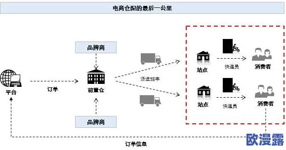 深度解析：星落莱克西角色特性与表现如何全面介绍