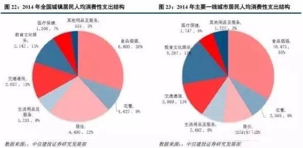 红桃视颏隐藏人口：对中国城市化进程中隐性人口现象的深入分析与研究