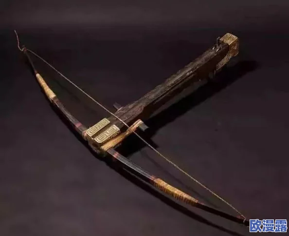DNF步枪与弩械全面对比:哪个职业武器更厉害? DNF步枪与弩械全面对比:哪个职业武器更厉害?
