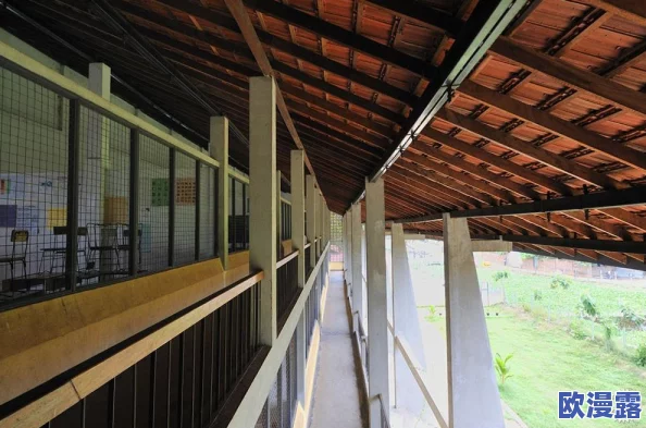 王者伽罗被艹：游戏角色设计与玩家互动的深度分析及其对社区文化的影响研究