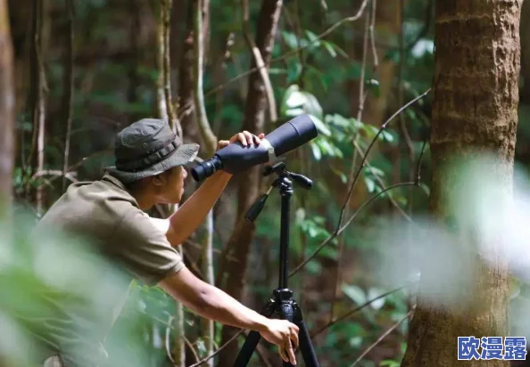 饥饿丛林探险：生存挑战、未知生物追踪与奇迹发现之旅