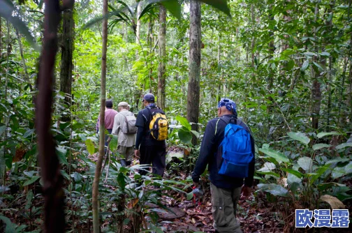 饥饿丛林探险：生存挑战、未知生物追踪与奇迹发现之旅