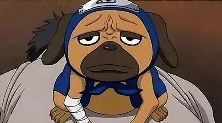 火影忍者手游中忍犬值得培养吗?全面解析火影忍者手游忍犬介绍 火影忍者手游中忍犬值得培养吗?全面解析火影忍者手游忍犬介绍