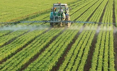 种子齐备五十二难：深入解析当前农业发展面临的挑战与机遇，助力可持续未来的探索之路