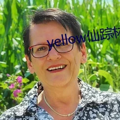 大豆行情网仙踪林 金属加工：市场动态分析与未来发展趋势的全面探讨与展望