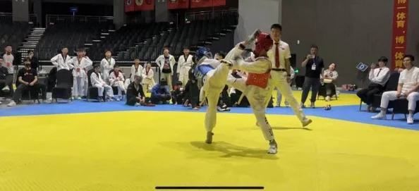 胡桃腿法娴熟脚法：解析这一独特的武术技艺及其在传统文化中的重要性与应用技巧