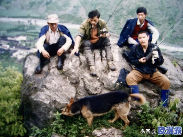 稀有近距离侧拍：观察野生动物行为的独特视角与生态学意义分析