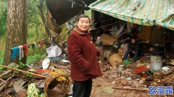 四川妇女BBBWBBBwm村妓：探讨农村女性在性别与经济困境中的生存状态及其社会影响的研究