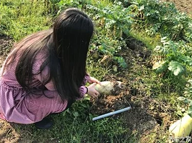 光腿拔萝卜光腿拔萝卜:网友热议这个创意地点,惊讶于其独特趣味和互动性! 光腿拔萝卜光腿拔萝卜:网友热议这个创意地点,惊讶于其独特趣味和互动性!