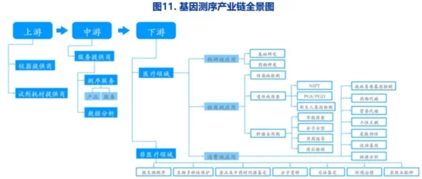 揭秘黑料社区：揭示其背后的运作机制与影响力，深度分析用户行为及内容传播的现状与未来发展趋势