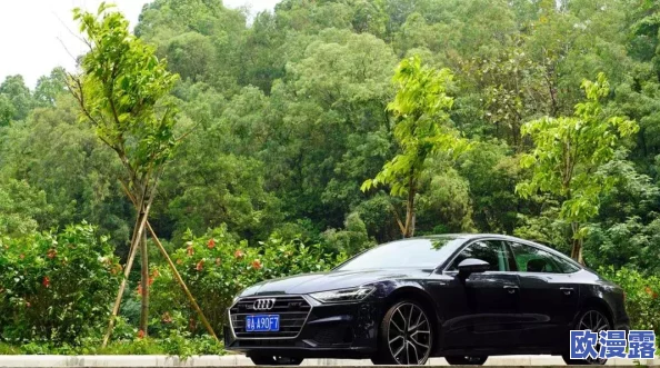 “小马拉大车免费在线观看:为您揭示这部影片背后深刻的社会寓意与观众的真实反响” “小马拉大车免费在线观看:为您揭示这部影片背后深刻的社会寓意与观众的真实反响”