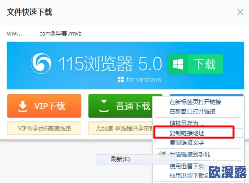 www免费视频在线观看播放：如何在网络环境中安全高效地观看在线视频的研究与实践分析