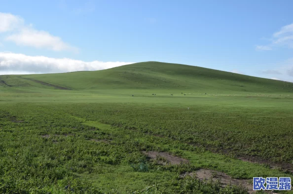 免费观看windowsxp：了解如何在不花费任何费用的情况下获取和使用Windows XP操作系统，享受经典软件带来的便利与乐趣