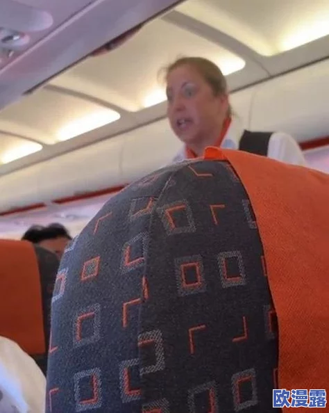 法国空乘2019法版英文名字:解析该版本中法国航空公司空乘人员的官方英文名称及其背后的意义与影响 法国空乘2019法版英文名字:解析该版本中法国航空公司空乘人员的官方英文名称及其背后的意义与影响