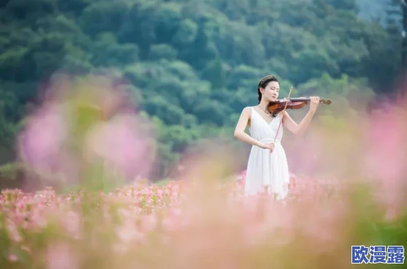 花落伴花途之柔佳最经典十首歌曲，带你领略她音乐中的细腻情感与动人旋律