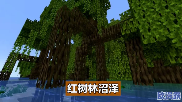 如何在《我的世界》游戏中有效找到并探索女巫小屋的攻略